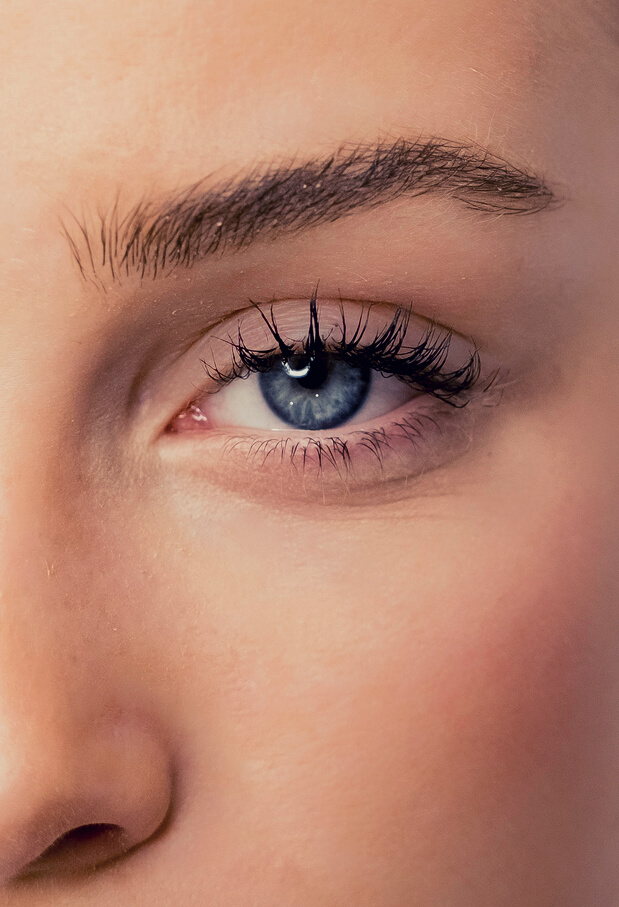 Woman's Eye and Eyebrow